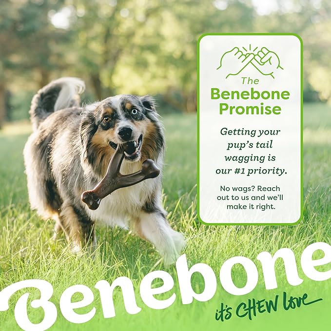 Benebone 2-Pack Wishbone Durable Dog Chew Toy for Aggressive Chewers, Real Bacon Made in USA, Large