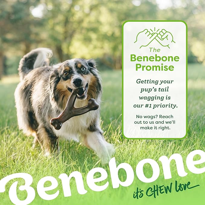Benebone 2-Pack Wishbone Durable Dog Chew Toy for Aggressive Chewers, Real Bacon Made in USA, Medium