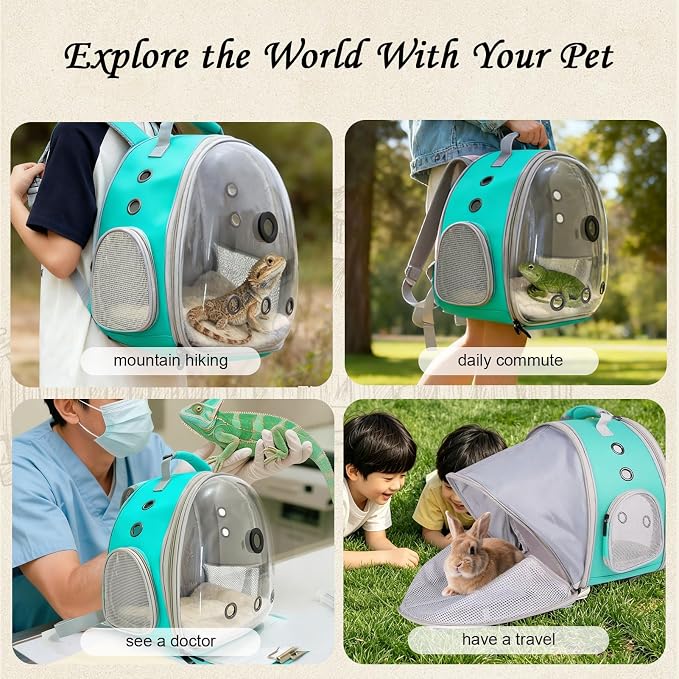 Bearded Dragon Travel Backpack Carrier with Reptile Thermometer and Humidity Gauge Lizard Travel Cage Space Capsule Clear Bubble Window Astronaut Reptile Bag for Ball Python (Green, BE Backpack)