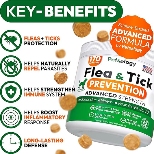 Flea and Tick Prevention for Dogs Pills - Natural Dog Flea & Tick Control - 170 Soft Chewables - Oral Defense Treatment for Dogs Supplement - Vet Formulated Chews - All Breeds & Ages - Made in USA