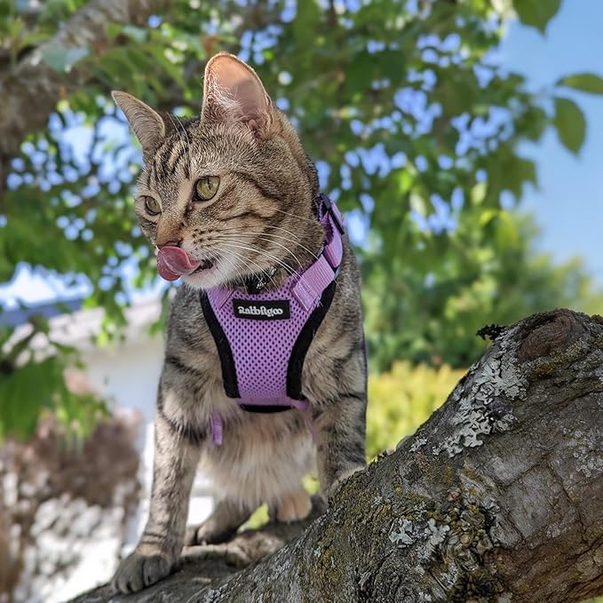rabbitgoo Cat Harness and Leash for Walking, Escape Proof Soft Adjustable Vest Harnesses for Cats, Easy Control Breathable Reflective Strips Jacket, Light Purple, M