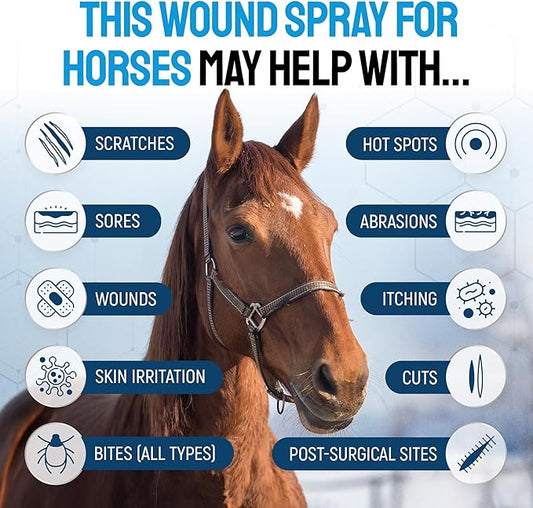 Horse Wound Care Spray with Silver – for Insect & Fly Bites, Hot Spots, Scratches & Itchy Skin – Supports Quick Healing of Cuts, Abrasions & Rain Rot Treatment for Horses – Equine Healing Aid – 4 Oz