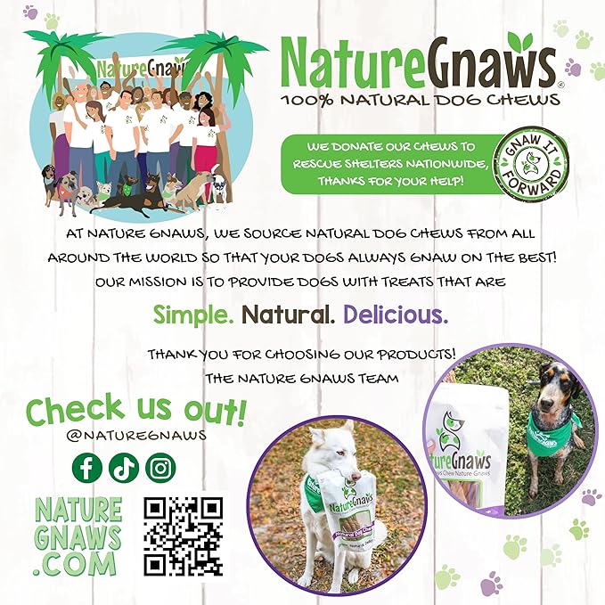 Nature Gnaws Extra Thin Bully Sticks for Small Dogs 5-6" (25 Count) - Long Lasting for Light Chewers and Puppies - Natural Beef Dog Chew Bones