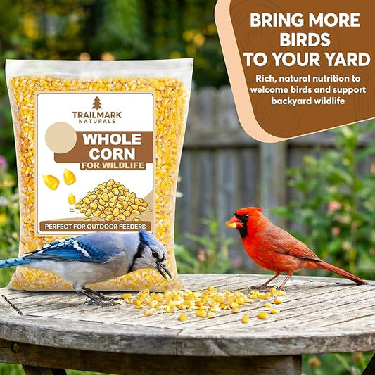 Whole Corn 10 LB– Premium Bird Seed & Wildlife Feed for Ducks, Deer, Squirrels, Chickens, and Turkeys – Whole Corn for Wild Birds – Grown in USA