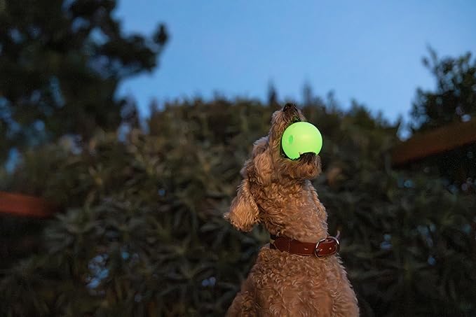 Harry Barker Glow-in-the-Dark Rubber Dog Fetch Balls, High-Bounce Interactive Toy with Safety Air Vent, 2.5 Inch, Launcher-Compatible