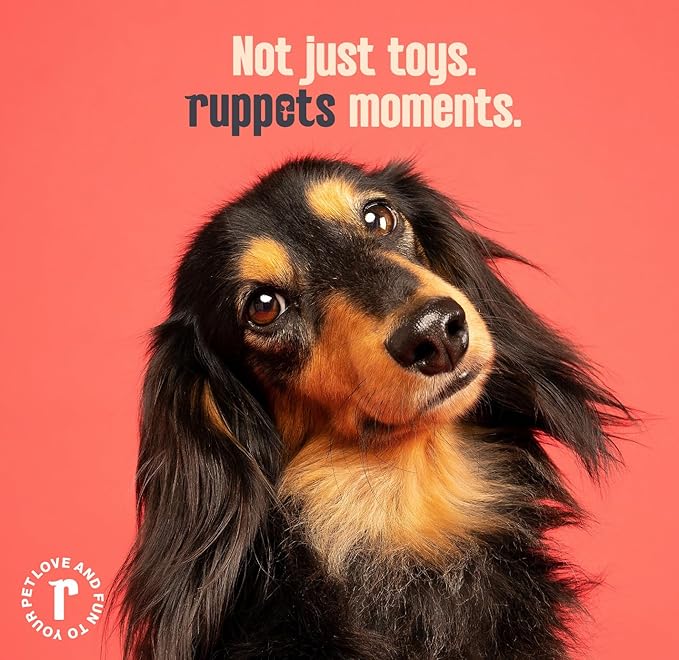 Soft Natural Rubber Dog Bones 2 Pack for Small Dogs & Puppies – Gentle, Non-Toxic Chew Toys for Teething & Dental Care.