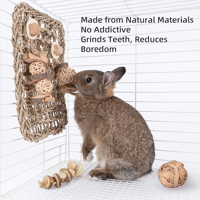 andwe Seagrass Protector Mat with Toys for Rabbit Bunny Chinchilla Guinea Pigs or Other Rodent Pets (11 X 7.87-inch)