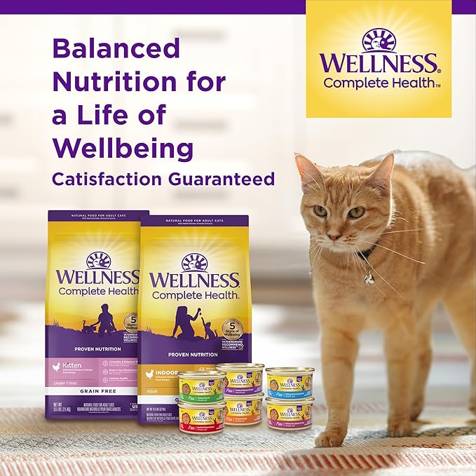 Wellness Complete Health Adult Dry Cat Food, Natural, Wholesome Grains Kibble, Salmon Recipe, 5 lb Bag