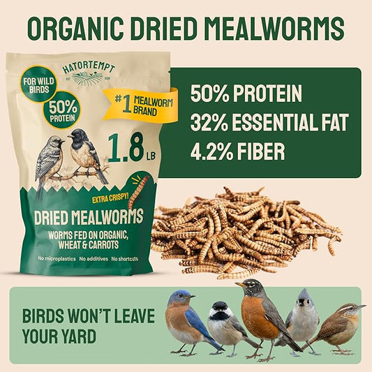 Hatortempt Dried Mealworms for Wild Birds - 1.8 Lb Bag - Non-GMO Bluebird Food - High-Protein Meal Worms for Blue Birds, Robins and Chickadees