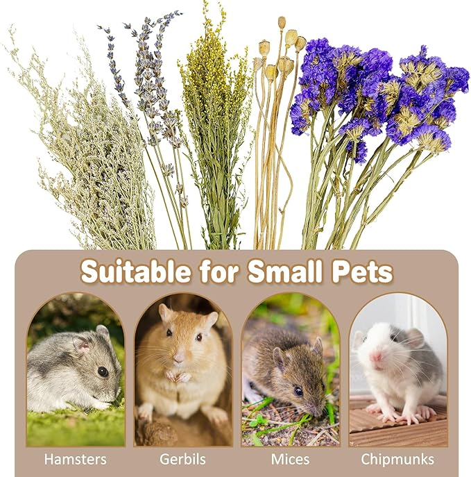 Fhiny Natural Hamster Bedding, Flower & Herb Hamster Bedding Mate Hamster Sprays Gerbil Habitat Decor Accessories for Dwarf Syrian Hamster Gerbil Mice Mouse Degus Lemming or Other Small Pets