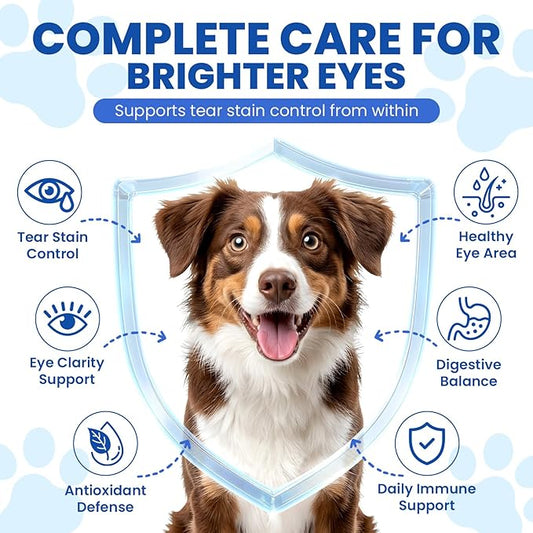 Tear Stain Chews for Dogs 200 Ct Eye Support Soft Chews Dog Eye Care Vision Immune Support Antioxidant Protection with Vitamins Cranberry Extract Fish Oil Lutein for Eye Health (Chicken Flavor)