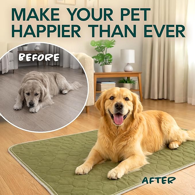 Washable Pee Pads for Dogs 23x35 – Reusable Puppy Pads for Pee Potty Training & Indoor Dog Potty – Nonslip & Large Waterproof Pet Mat, Whelping Pad
