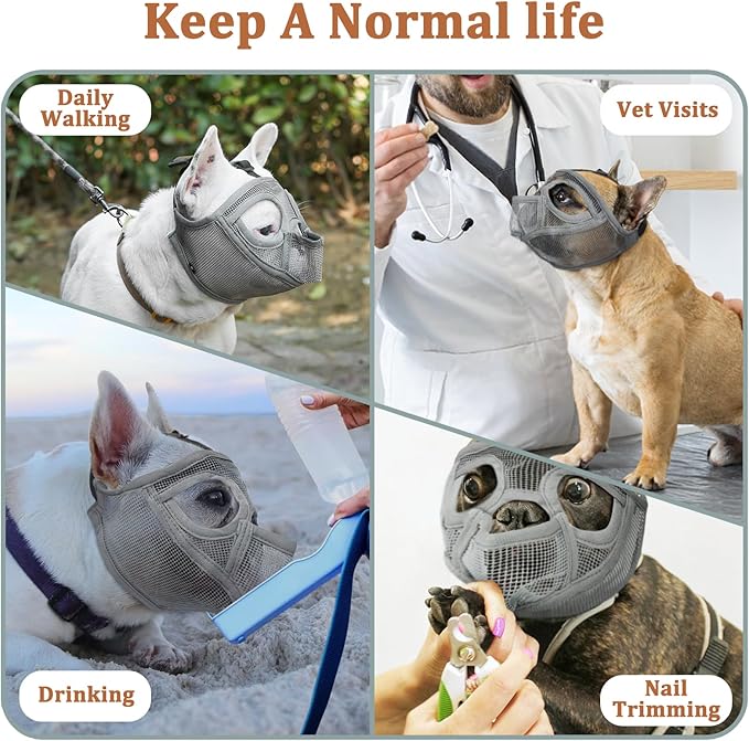 Mayerzon Short Snout Dog Muzzle for French Bulldog with Full Pant Design to Prevent Eating Biting, Soft Mesh Dog Muzzle for Shih Tzu Pug English Bulldog for Grooming Walking, Allow to Drink and Feed