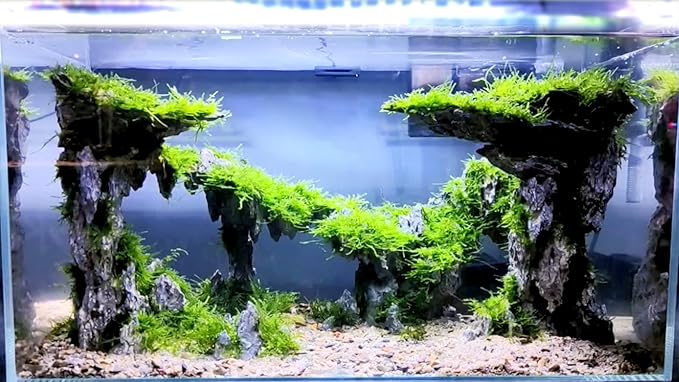 Allcolor Fish Tank Decor Rocks.Aquarium Decoration Model.Easy and Quick Solution for Aquascaping.(Twilight)