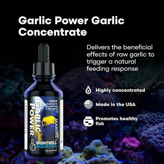 Brightwell Aquatics GarlicPower Garlic Extract for Aquarium Fish Food – Enhances Feeding Response – Boosts Nutrition – Ideal for Marine & Reef Tanks, 60 ml