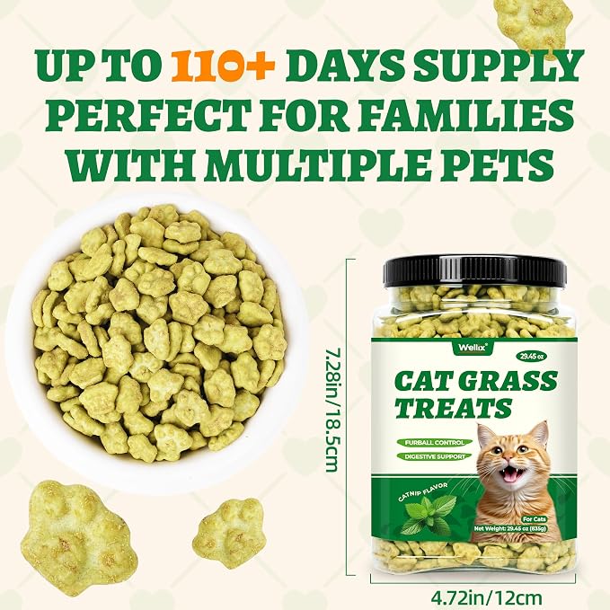 Wellix 29.45 oz Cat Grass Treats with Catnip & Salmon - Healthy Cat Treats for Indoor Cats - Hairball Control & Digestive Support - Kittens Training Snacks for Teeth Cleaning