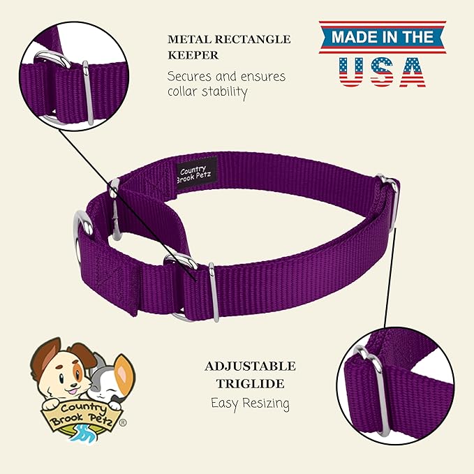 Country Brook Petz - Martingale Dog Collar - Heavy-Duty Training Collar with No Buckle - Service Dog Collar for All Pups - 20 Vibrant Colors (Purple, 1 Inch, Extra Large)