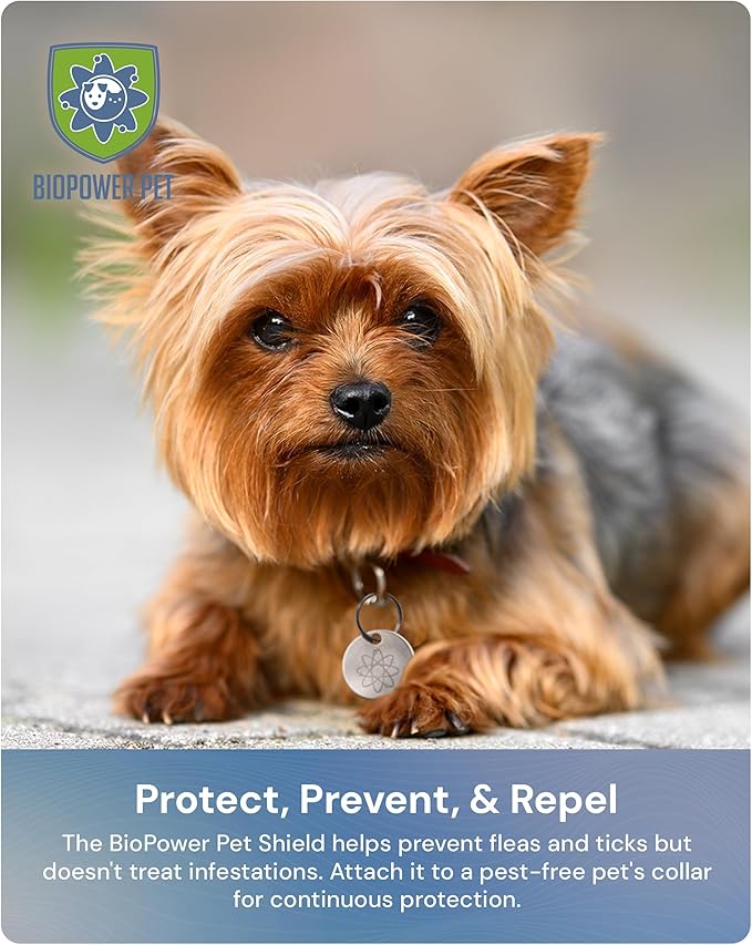 Shield Tag - Natural Flea & Tick Repellent Collar Tag for Dogs & Cats - Waterproof, Lasts 12 Months - Stainless Steel Pendant - Small Tag (<10 Lbs)