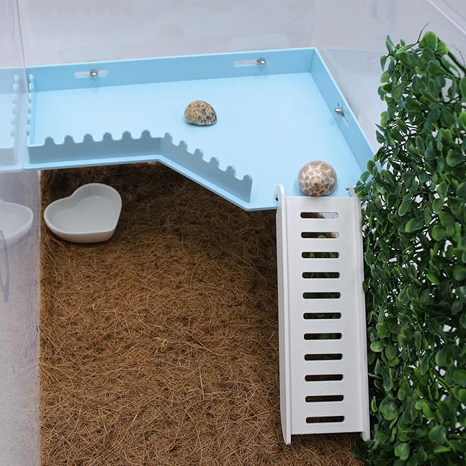No-Drill Climbing Platform with Ramp, Hermit Crab Climbing Wall & Hideout, Multi-Level Platform with Ladder, No-Tools Mounting for Geckos, Small Lizards, Hamsters