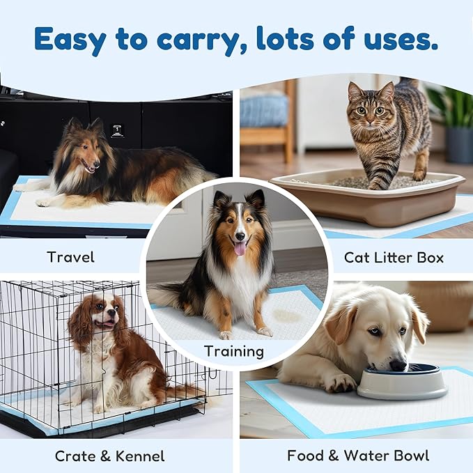 FluffyDream Super Absorbent Waterproof Dog and Puppy Pet Training Pad, Housebreaking Pet Pad,Blue (22"x22"(100PCS))