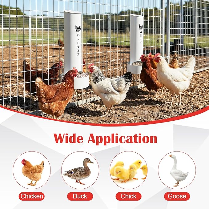 Chicken Oyster Shell Feeder and Grit Feeder and 6 Pcs Automatic Chicken Waterer Cup, Metal Hanging Poultry Feeders and Plastic Poultry Water Cup, Coop Accessories, White