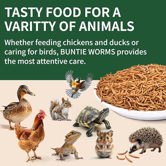 BUNTIE WORMS 10LB Dried Mealworms, 100% Natural, Non-GMO Meal Worms, Dried for Chickens, Wild Birds, Reptile, Hamster, Hedgehog, Pigeon