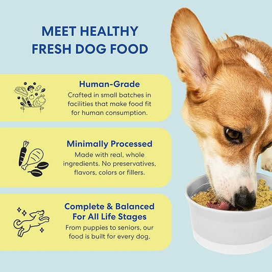 The Pets Table Human-Grade Turkey Casserole Fresh Dog Food, Dog Food Topper or Complete Meal, 9 Count of 36-oz Pouches, 20.5lbs