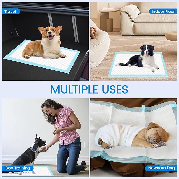 22" x 23" Pee Pads for Dogs, 6 Layers Super Absorbent, Leak Proof Quick Drying Pet Pee Pads, Training Puppy Pads - 10 Count