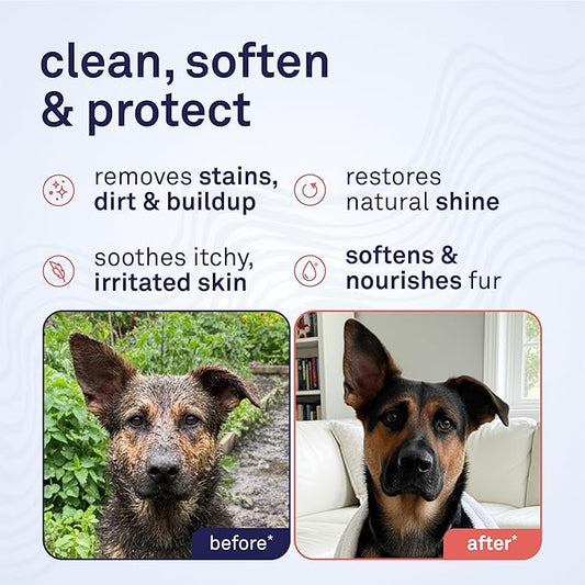 Petpost | Argan Shampoo for Dogs. Dog Shampoo with Argan Oil & Aloe. Moisturizes Dry Skin, Softens Coat, Restores Shine. 16 oz
