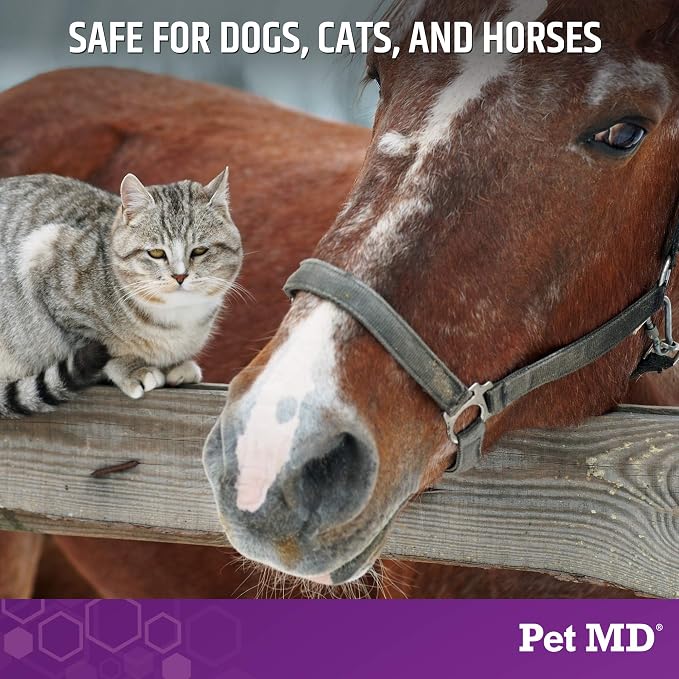 Pet MD Micoseb-CX Topical Shampoo for Dogs, Cats, & Horses - 12oz | with Miconazole