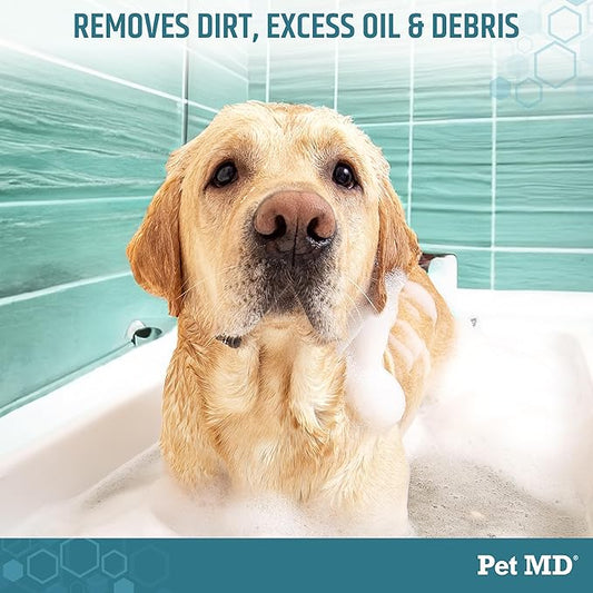 Pet MD - Benzoyl Peroxide Shampoo for Dogs and Cats - Effective for Skin Conditions, Dandruff, Itch Relief, Acne and Folliculitis - Citrus Scent - 12 oz (Pack of 2)