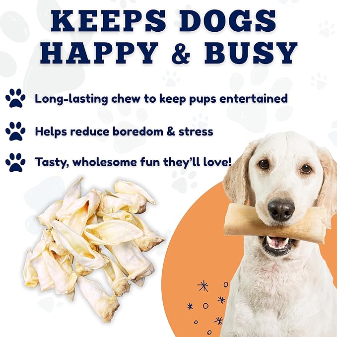 Amazing Dog Treats - Lamb Ears (10 Pcs/Pack)- Natural Dog Chews -Rawhide Alternative - No Hide Dog Bones