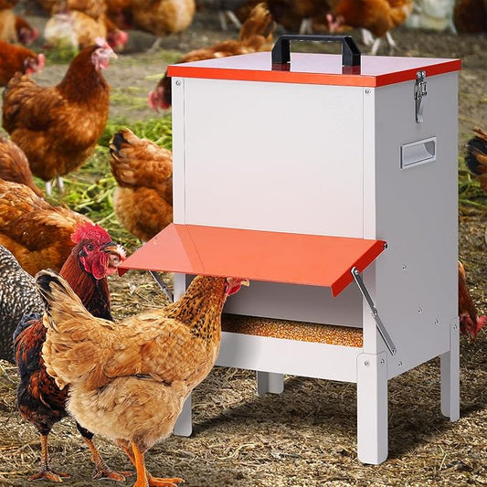 30lbs Automatic Chicken Feeder and Duck Feeder for Outside, Metal Chicken Feeders No Waste, Large Poultry Feeder for Chickens, Ducks, Geese, Pigeons, Dogs, Cats (Orange)