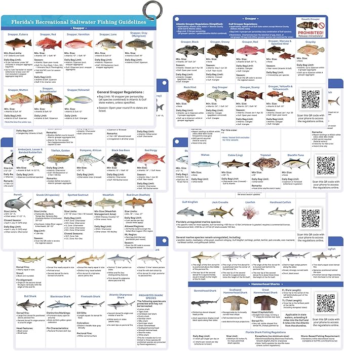 OCQOTAT Florida Saltwater Fish& Shark Identification Set–4 Double-Sided Waterproof Quick-Reference Fishing Guide Cards with FWC Rules,Size Limits&80+ Fish&Sharks in Real Photos| Ring Binding,8.2x6inch
