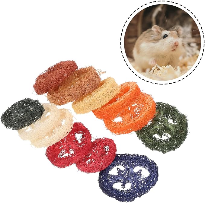 SEWACC 12pcs Organic Loofah Chew for Small Animals Rabbit Bunny Chinchilla Dental Care Molar Grinding Natural Safe Pet Teeth Cleaning with Vibrant Colors and Unique Shapes Random Color