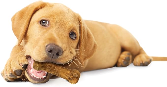 Nylabone Healthy Edibles Natural Puppy Chews Long Lasting Treats for Puppies, Turkey & Sweet Potato Dog Treats, X-Small/Petite (4 Count)