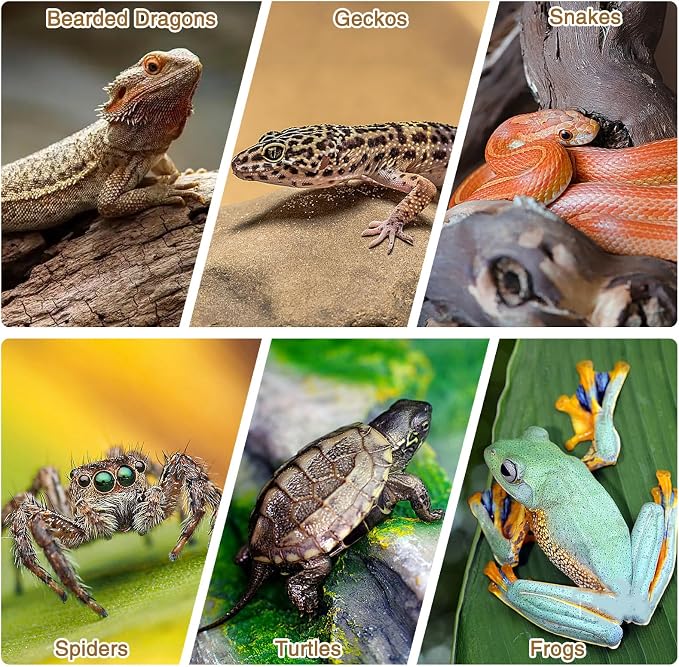Fhiny 4 PCS Cork Bark Background, 11.6" x 7.7" Natural Cork Bark for Reptiles Bearded Dragon Climbing Backdrop Terrarium Habitat Wall Decor Accessories for Turtle Gecko Lizard Snake Spider Frog