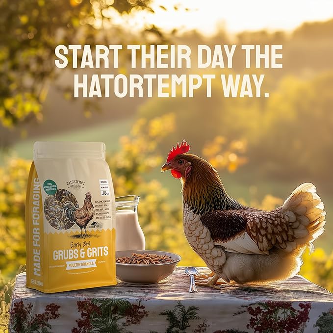 Hatortempt Grubs & Grits Chicken Feed Supplement - 10lb - with Chicken Grit, Mealworms, Black Fly Larvae and Oyster Shells - 21% Protein and 15% Calcium