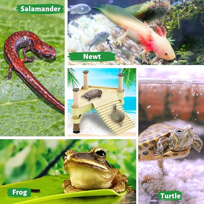 Keedolla Small Aquatic Turtle Pier Floating Dock Basking Platform Area for Aquarium Fish Tank, Decorative Aquarium Turtle Reptile Basking Platform with Ramp Ladder