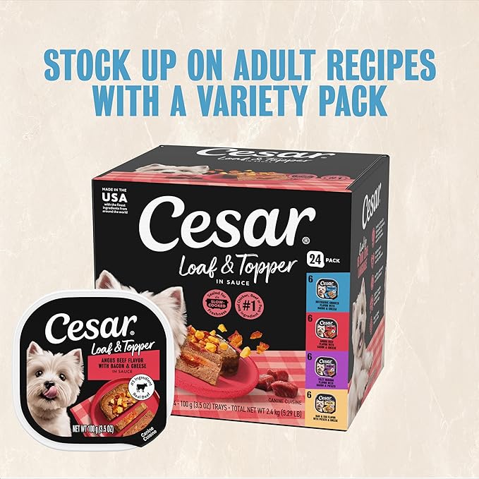 Cesar Loaf & Topper in Sauce Wet Dog Food Rotisserie Chicken Flavor with Bacon & Cheese, 3.5 oz. Easy Peel Trays, 24 Count (Pack of 1)