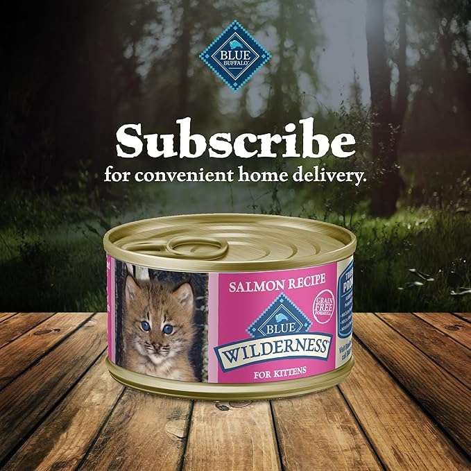 Blue Buffalo Wilderness Natural High Protein Grain Free Wet Food for Kittens, Salmon Pate, 3-oz, 24 Count