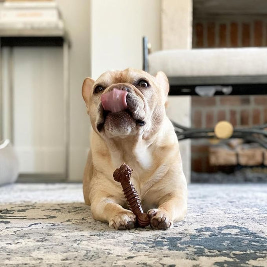 Nylabone Power Chew Groove Bone - Dog Toys for Aggressive Chewers - Durable Dog Toy for Small Breeds - Small Dog Chew Toys - Flavor Medley, Small, Up to 25 Ibs. (1 Count)