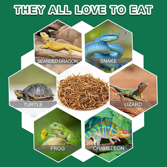 Dried Mealworm for Reptiles - High Protein Reptile Food for Bearded Dragons Turtles, Geckos, Snakes, Frogs Chickens, Birds, Hamsters & Hedgehogs(9oz)