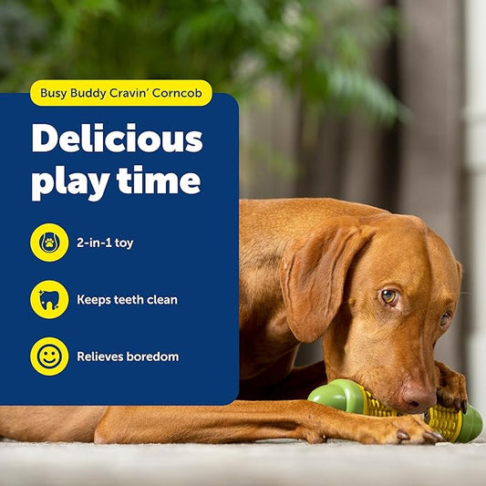 PetSafe Busy Buddy Cravin Corncob Dog Toys Treat Ring Holding Chew Toy BPA Free Rubber Butter Scented Interactive Pet Puzzle for Boredom or Separation Anxiety Small to Large Dogs