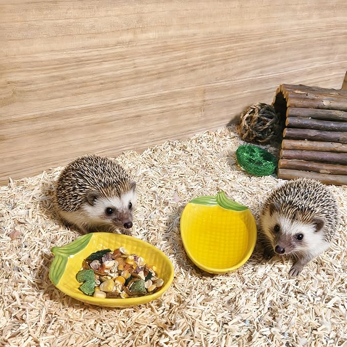 2PCS Hamster Bowl, Hamster Food Dish Ceramic Food Water Feeding Bowl Small Animal Bowls for Gerbil Rat Mice Hedgehog (Corn)
