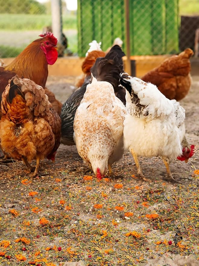 Chicken Nesting Herbs for Outdoor Indoor Chicken Coop - 21OZ Natural Egg-Laying Box Feed Herbs in Premixed 6 Dried Flower Herb for Freshening Bedding Promote Egg Production
