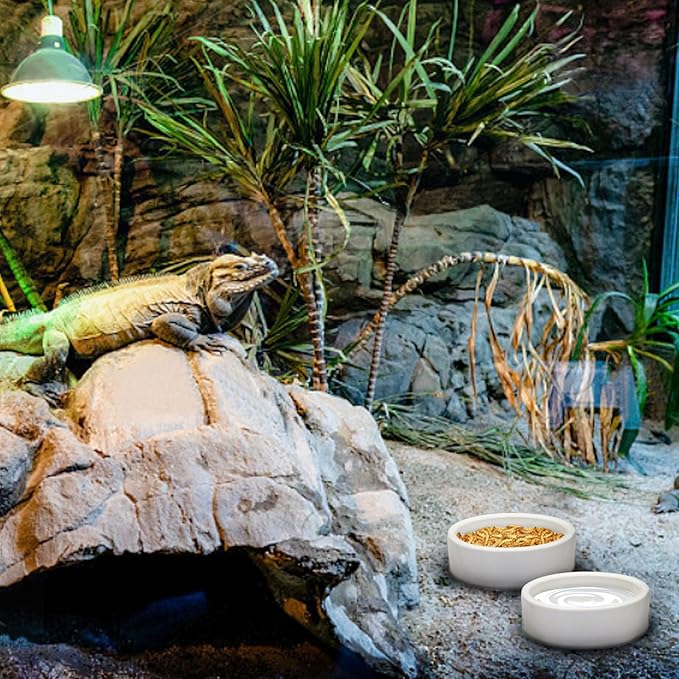 Escape-Proof Reptile Food Dish Bowl, Ceramics Small Animal Bowls for Lizard Frog Snake Turtle Gecko Hamster Food Bowl for Anti Living Foods Escape, Reptile Water Dish (M,2.73inches)