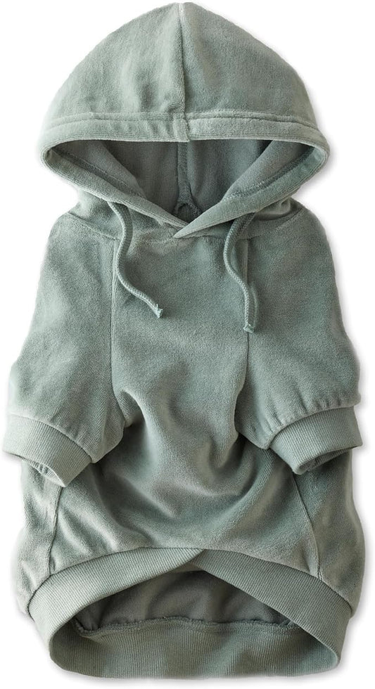 Pet Passion Cooper II Organic Cotton Velour Dog Hoodie Pet Coat for Small, Medium and Large Dogs, Sage, X-Small (5-12 lbs)