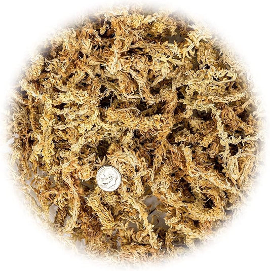 Gardenera Premium New Zealand Sphagnum Moss - Organic Hand Mixed Long Fibered Sphagnum Moss Orchid - 3 Quart
