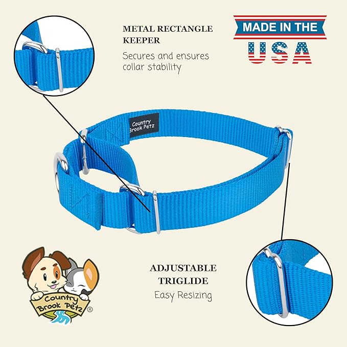 Country Brook Petz - Martingale Dog Collar - Heavy-Duty Training Collar with No Buckle - Service Dog Collar for All Pups - 20 Vibrant Colors (Ice Blue, 3/8 Inch, 3XS)